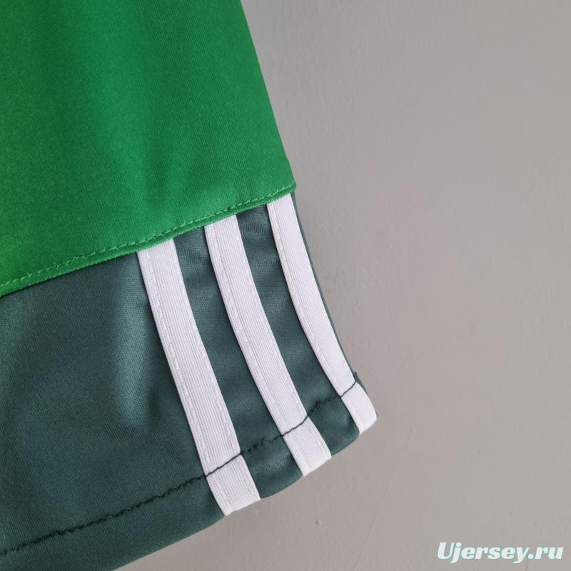 Retro 10/11 Palmeiras Home Soccer Jersey