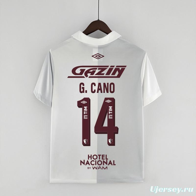 22/23 Fluminense All Sponsors 120th Anniversary White Grey jersey