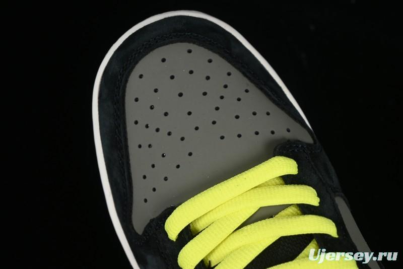 Nike Dunk Low SB Skateboarding Shoes - 302517-236