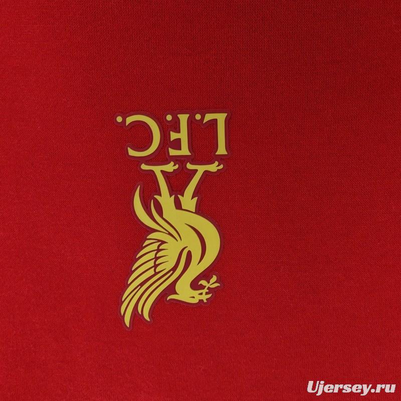 24/25 Liverpool Navy/Red/Black/Beige/Grey Hoodie WIth Black Badge