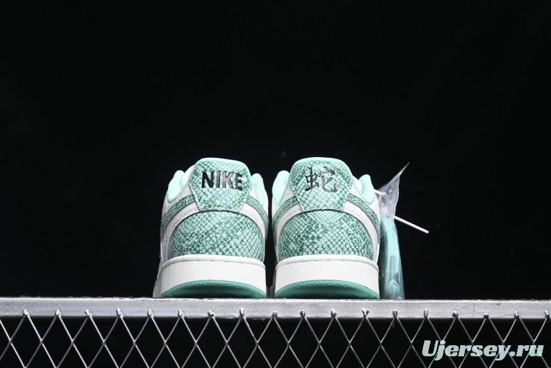 Nike Court Vision Lo 2025 Year of the Snake Theme Campus Casual Sneakers - CD5463-100