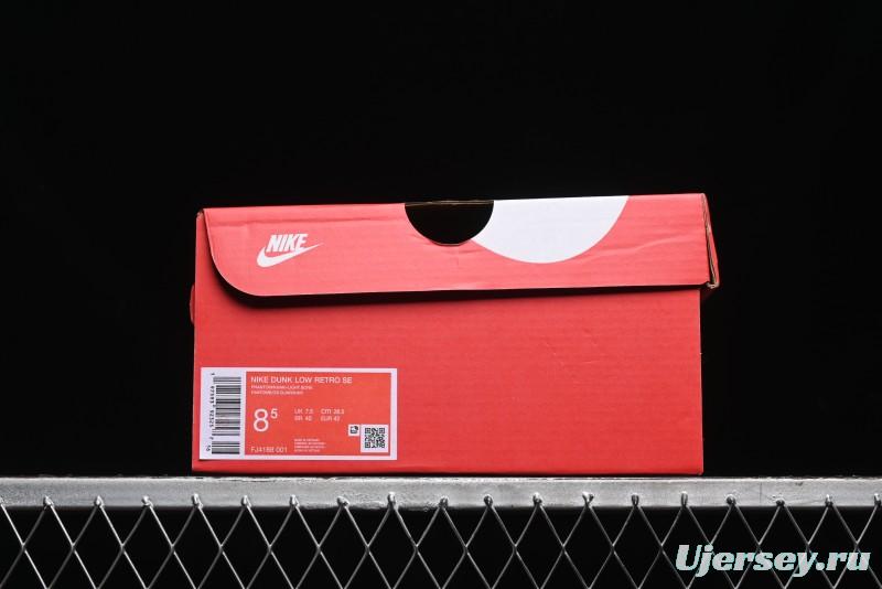 Nike Dunk Low SB Casual Sneakers in Phantom/Khaki - FJ4188-001