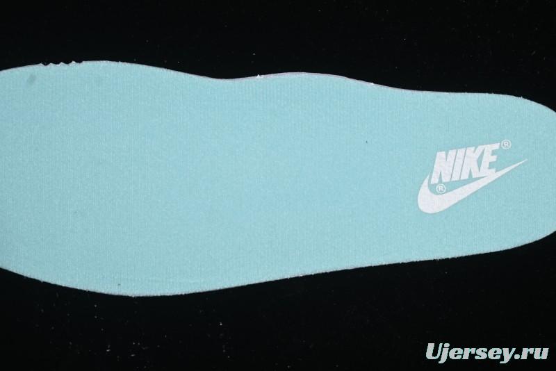 Nike Court Vision Lo 2025 Year of the Snake Theme Campus Casual Sneakers - CD5463-100