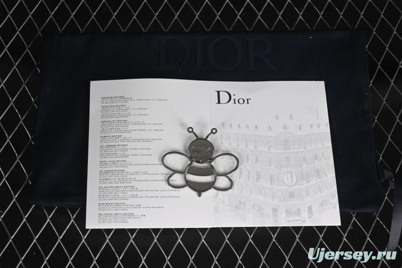 Dior B30 CD Sneakers - AJE5