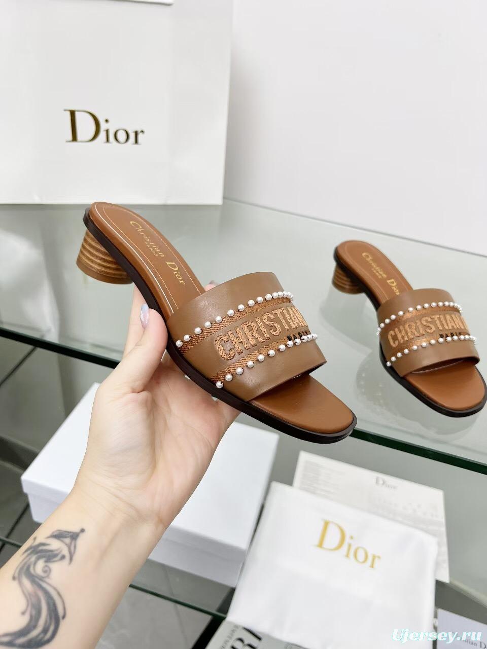 2025 Women Dior Brown Leather Mule Beaded LY00210