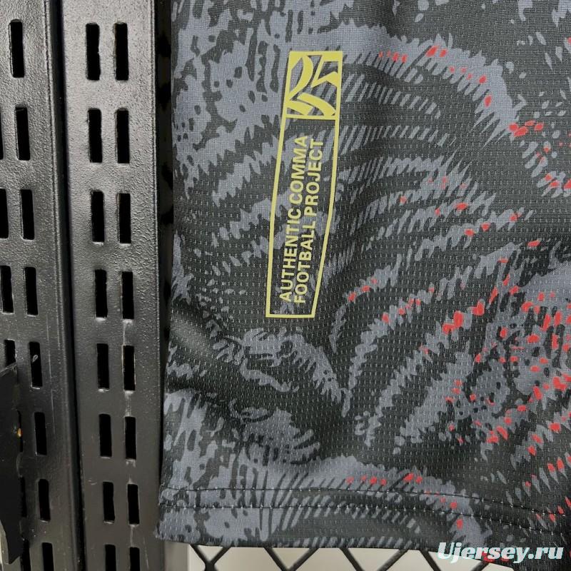 2025/26 PSG Paris Saint-Germain (CAMPEONES DE EUROPA) Grey Jersey