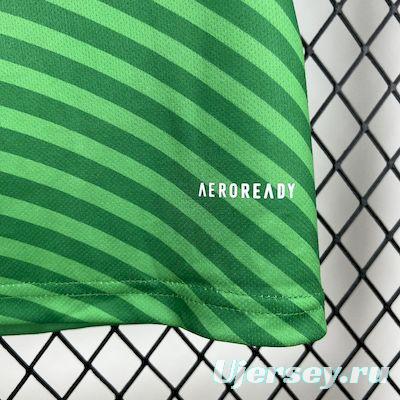 2025/26 Newcastle United Away Jersey