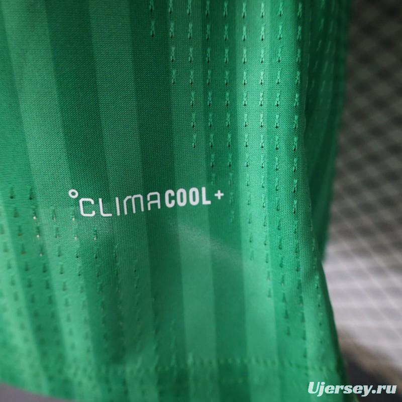 Player Version 26/27  Algeria Green Stripe V-Neck Special Edition Jersey