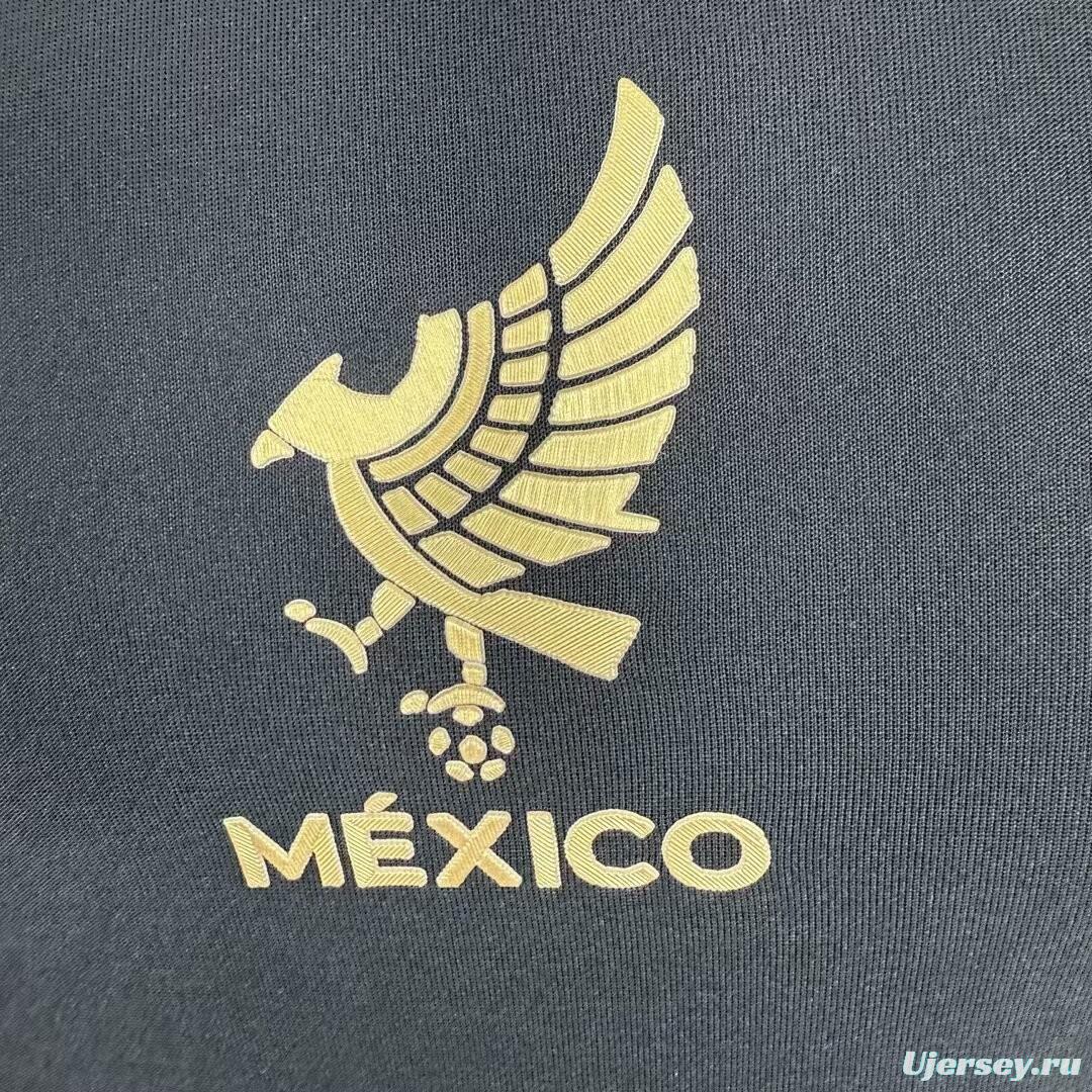 Player Version 2025 Mexico Gold Cup Long Sleeve Special Jersey