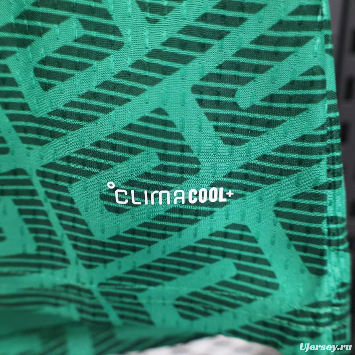 Player Version 2026 Mexico Home Women Jersey