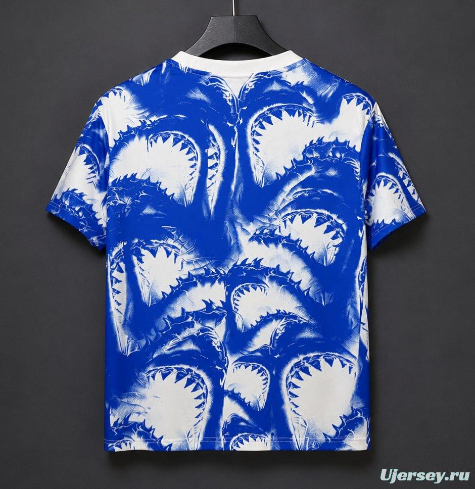 2026 World Cup Pre-Match Training Blue/White Jersey